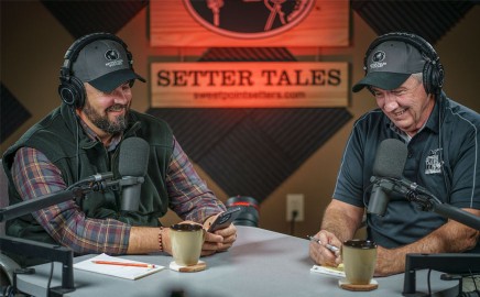 Setter Tales Podcast